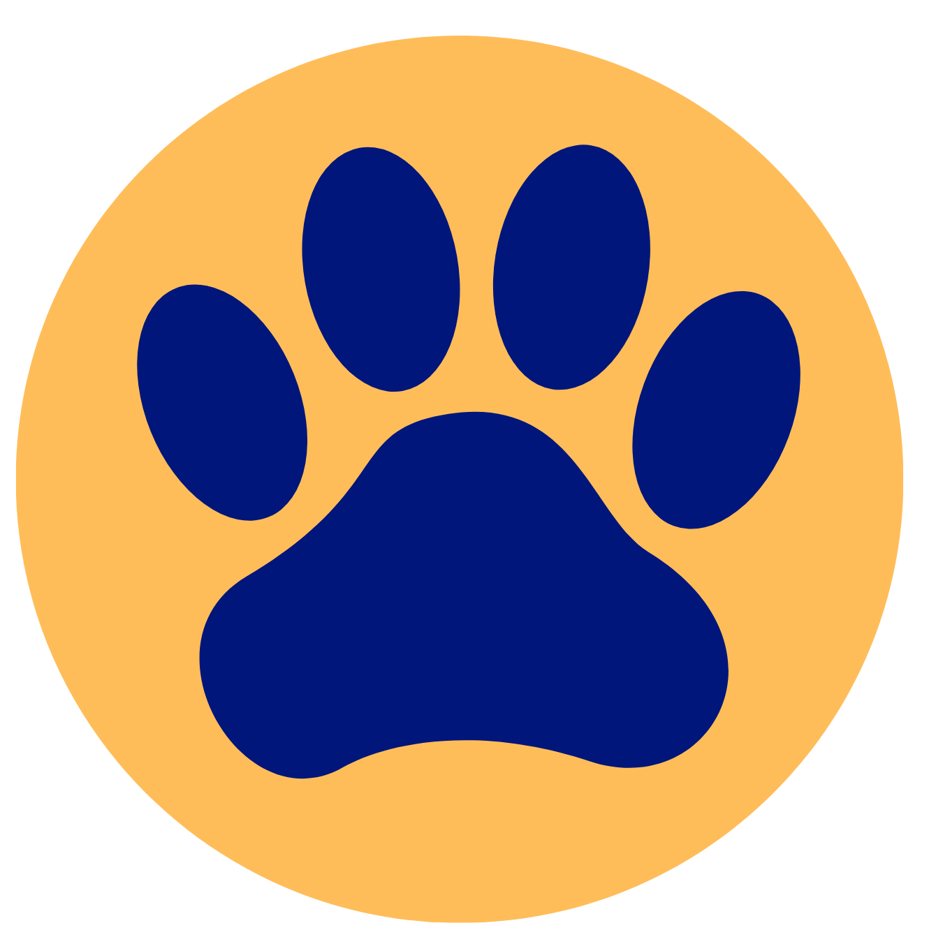 Adiestramiento canino dog Ray