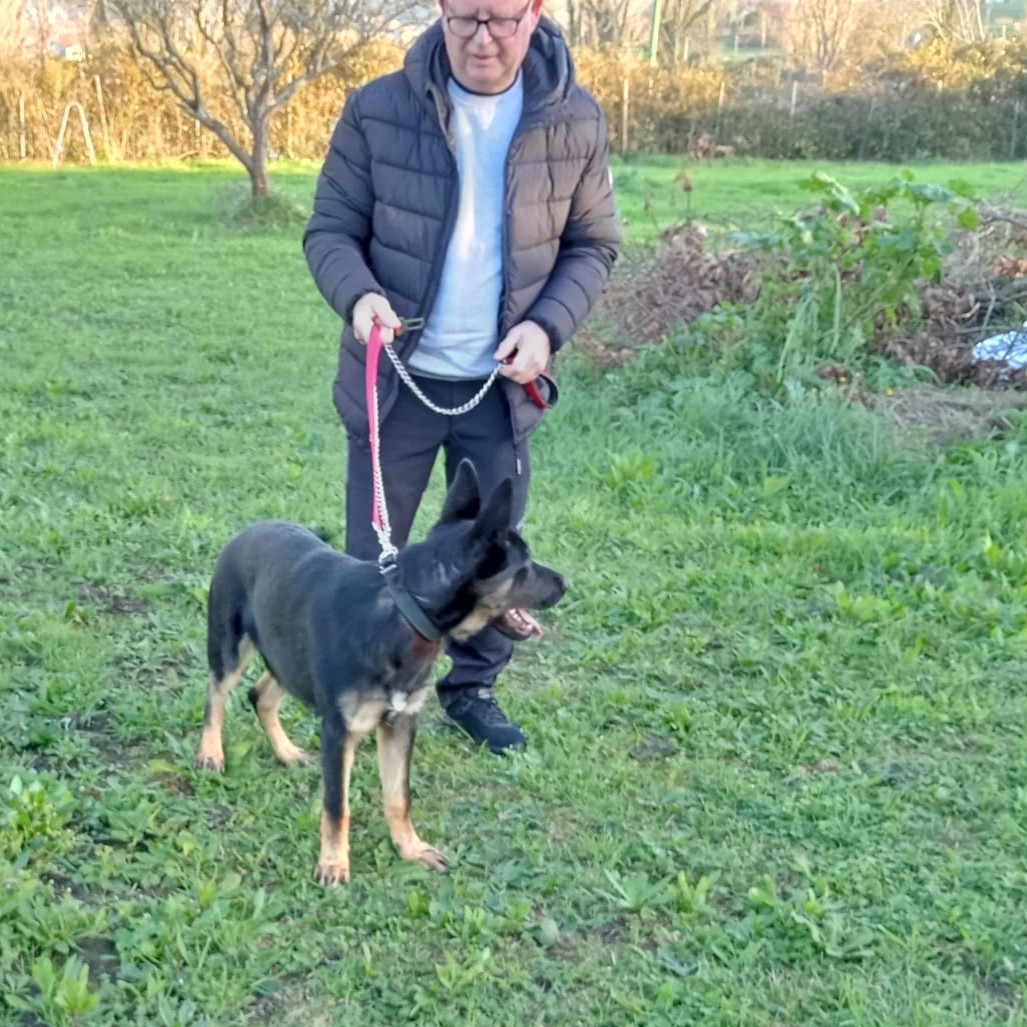 José, adiestrador profesional de Dog Ray